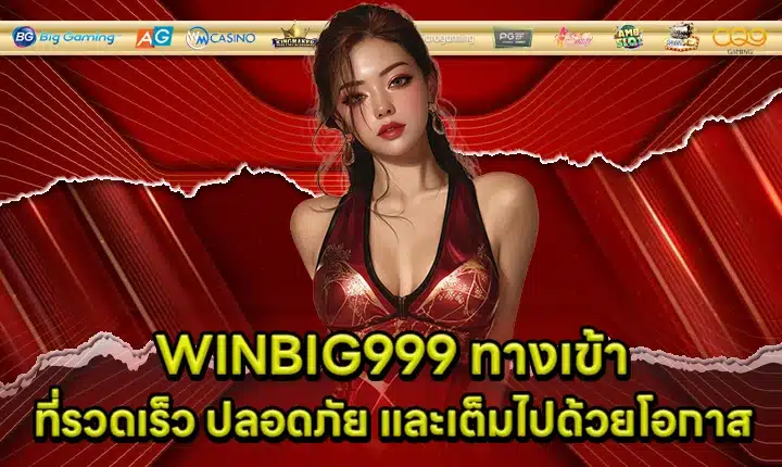 WINBIG999 ACCESS Cover WINBIG999 ACCESS Cover